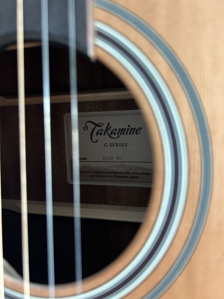 Takamine GD20 NS