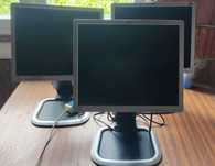 Monitor HP L1950g