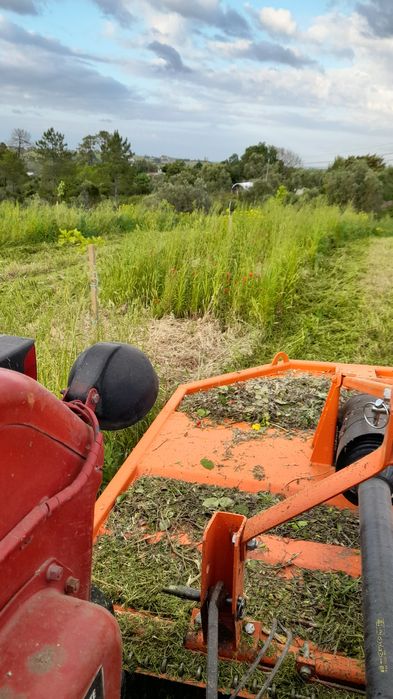 Limpeza de terrenos e serviços agrícolas