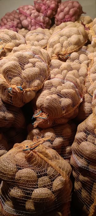 Ziemniaki JUREK 15 kg.  Nie ciemnieją w plackach ziemniaczanych