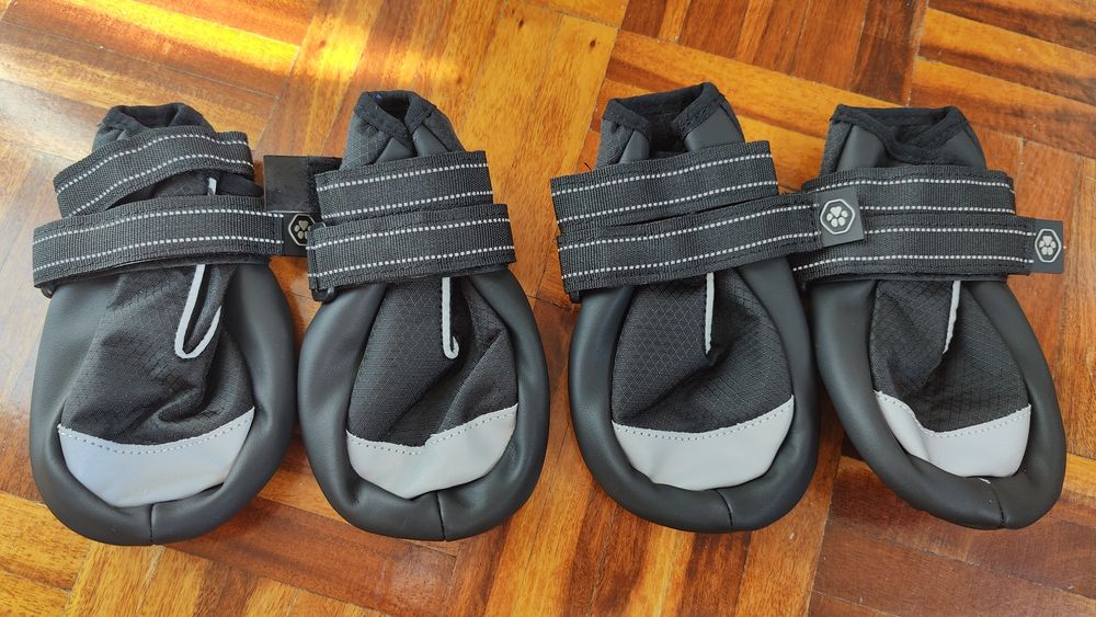 Sapatos para cão