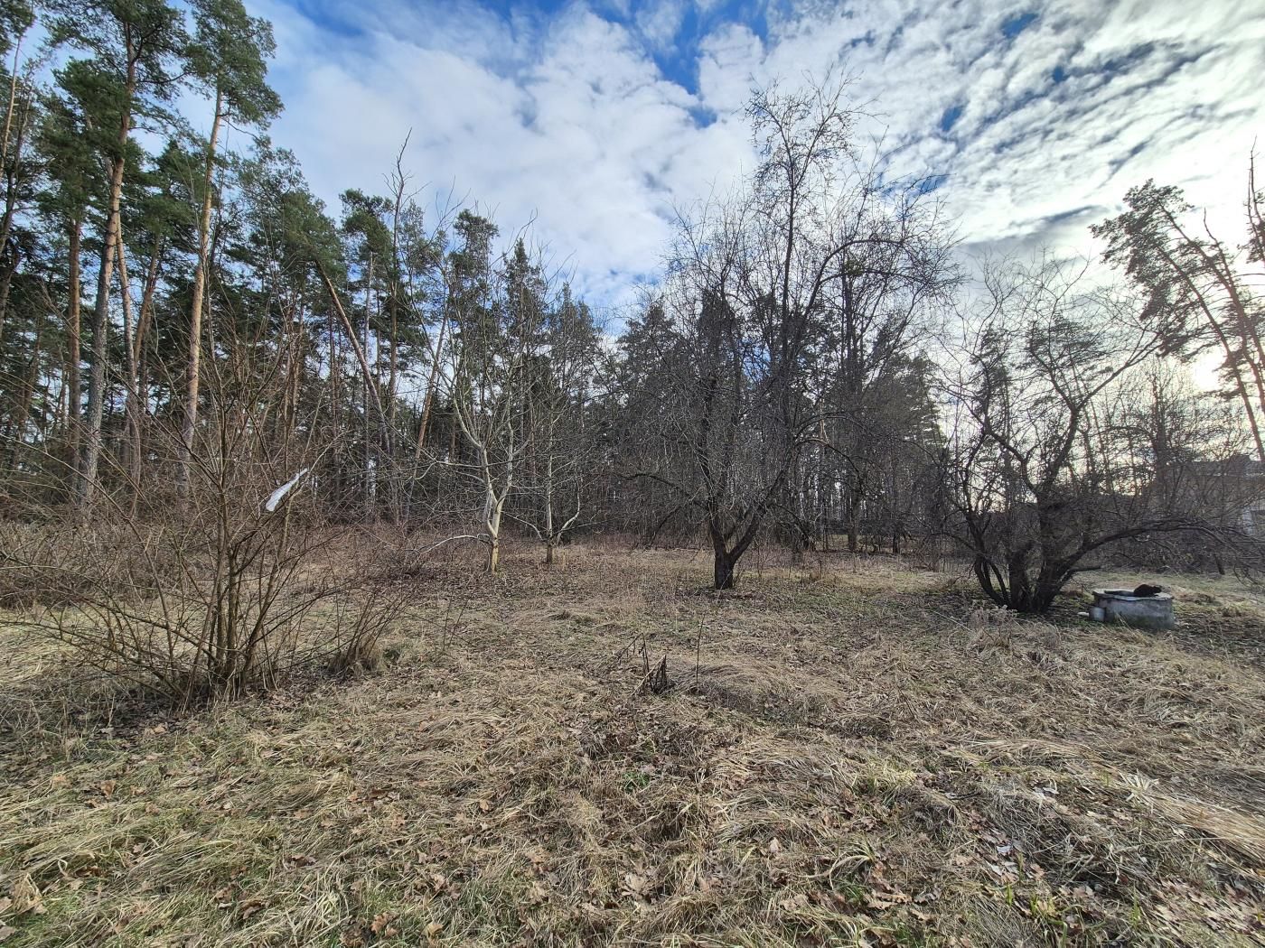 Продаж  Будинок Березова, Ворзель