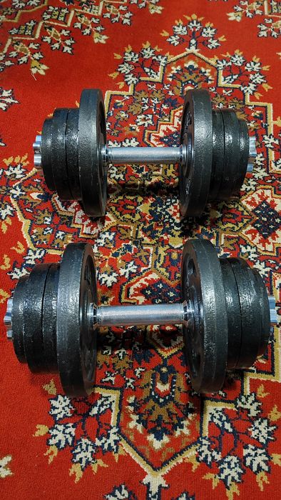 Гантели металлические наборные TORNEO