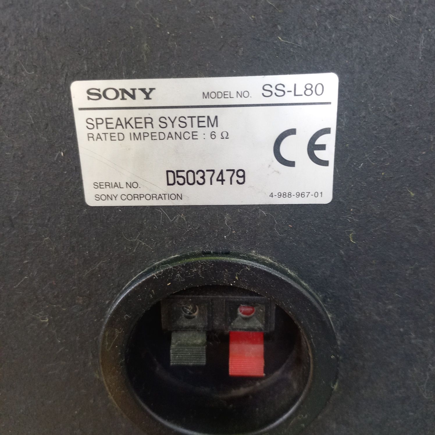 Kolumny głośnikowe Sony SS-L80