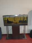 Vendo Aquario 240L
