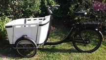 bicicleta/tryke de transporte elétrica (entrega PORTO ou AVEIRO)