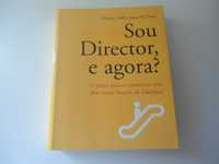 Sou Diretor, e agora? por Thomas J. Neff e James M. Citrin