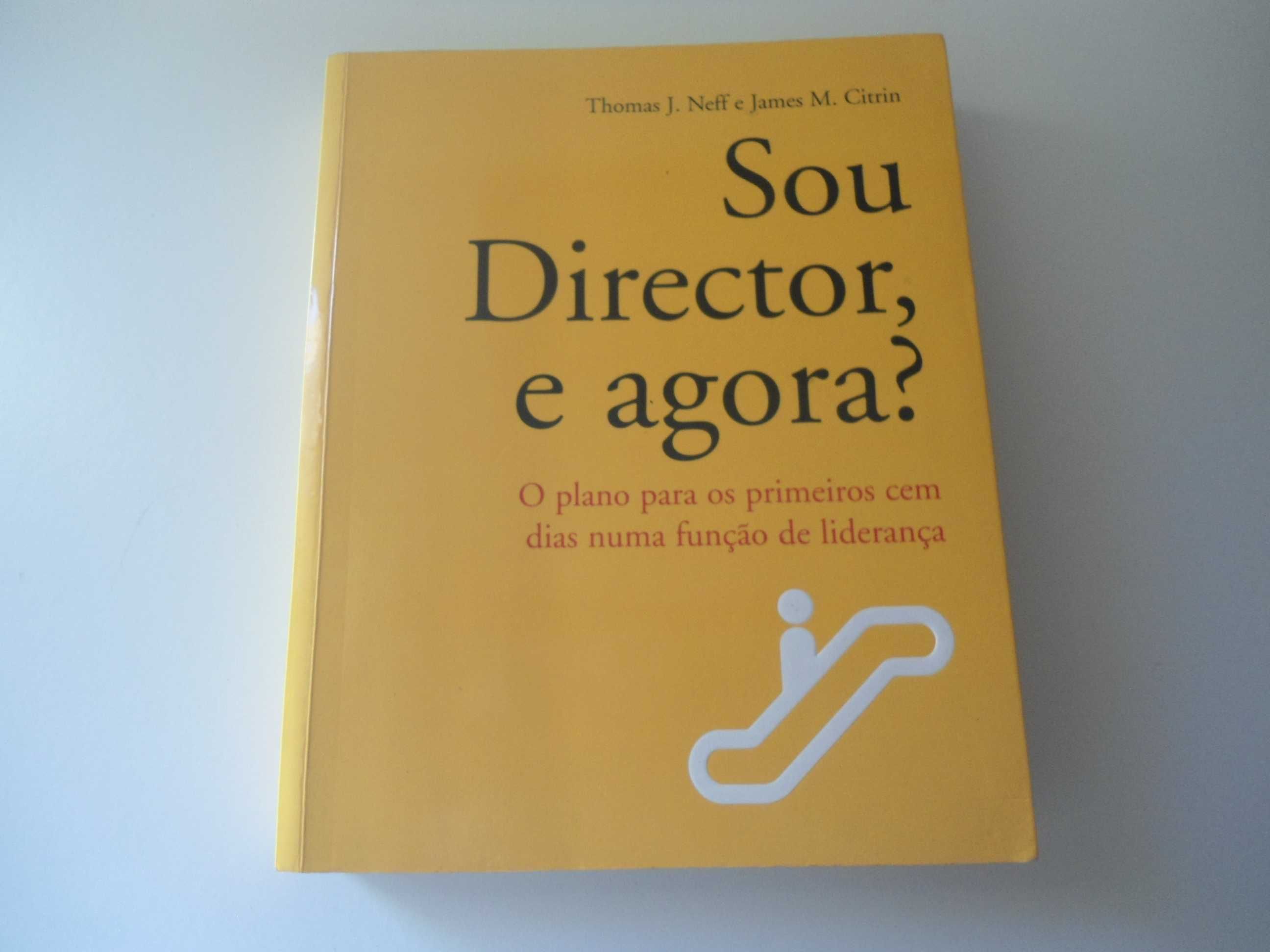 Sou Diretor, e agora? por Thomas J. Neff e James M. Citrin