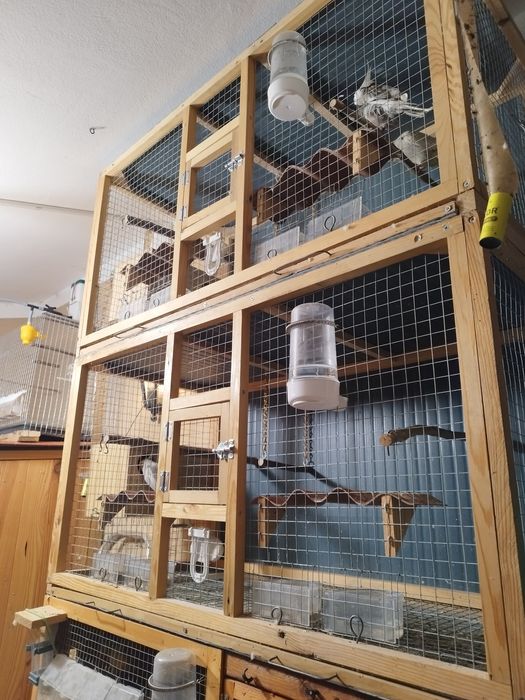 Gaiola de 1 metro para pássaros