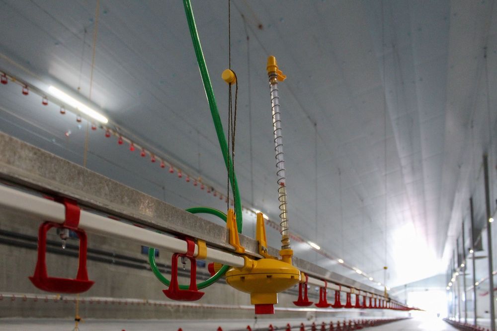 Styrodur XPS AGRO Termo Izolacja Ocieplenie Dachu Stropu Sufitu