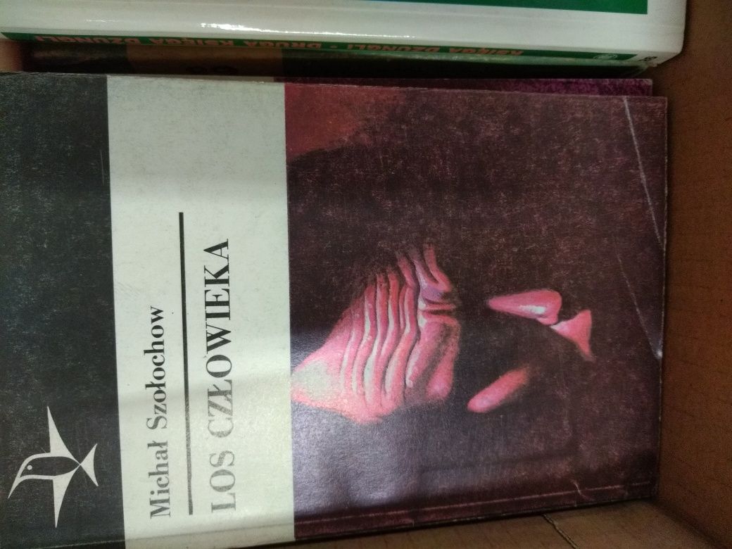Giaur, Grażyna i inne lektury
