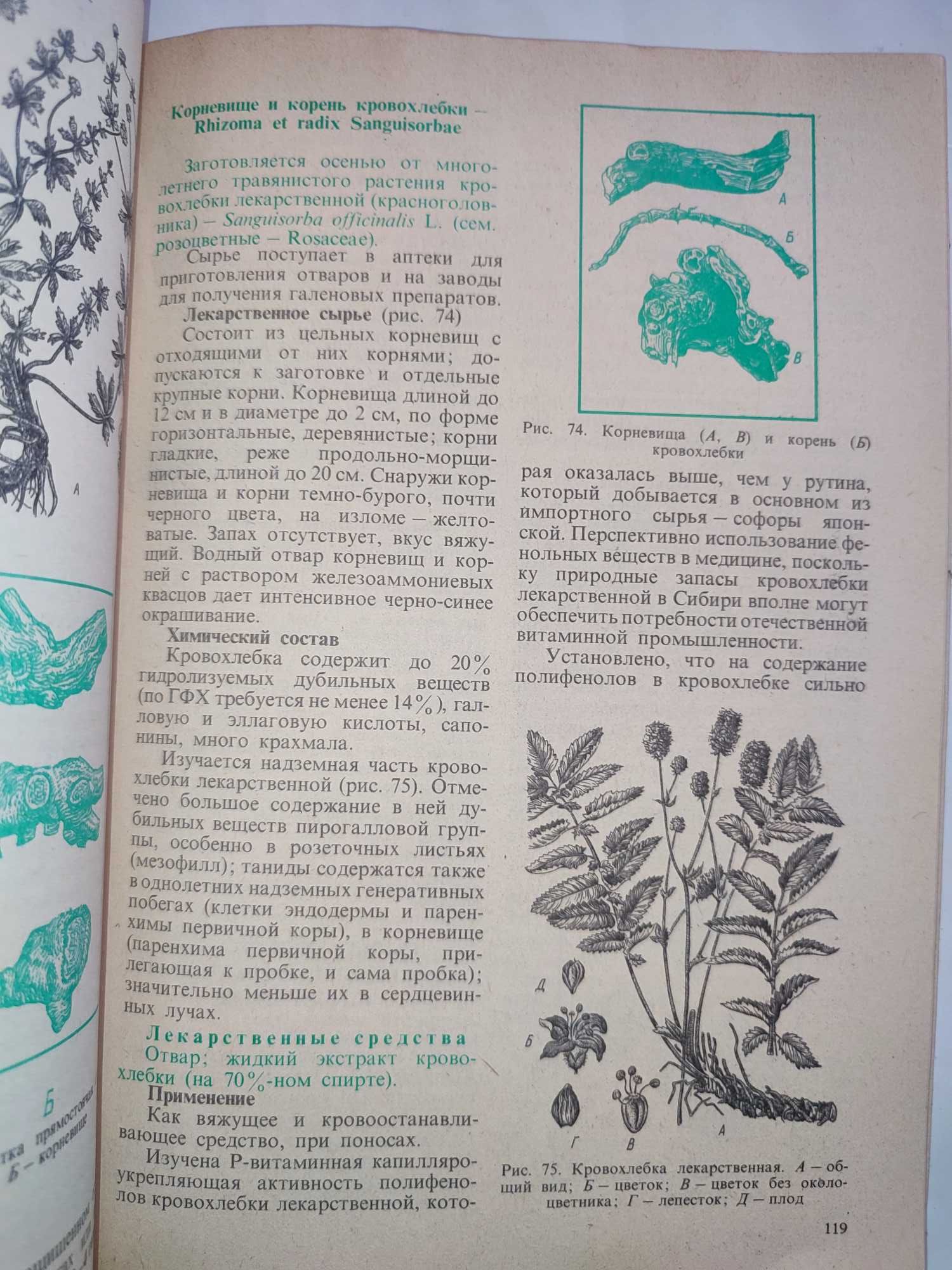 Лекарственное растительное сырье и препараты Кузнецова