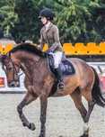 Frak Animo skokowy 34