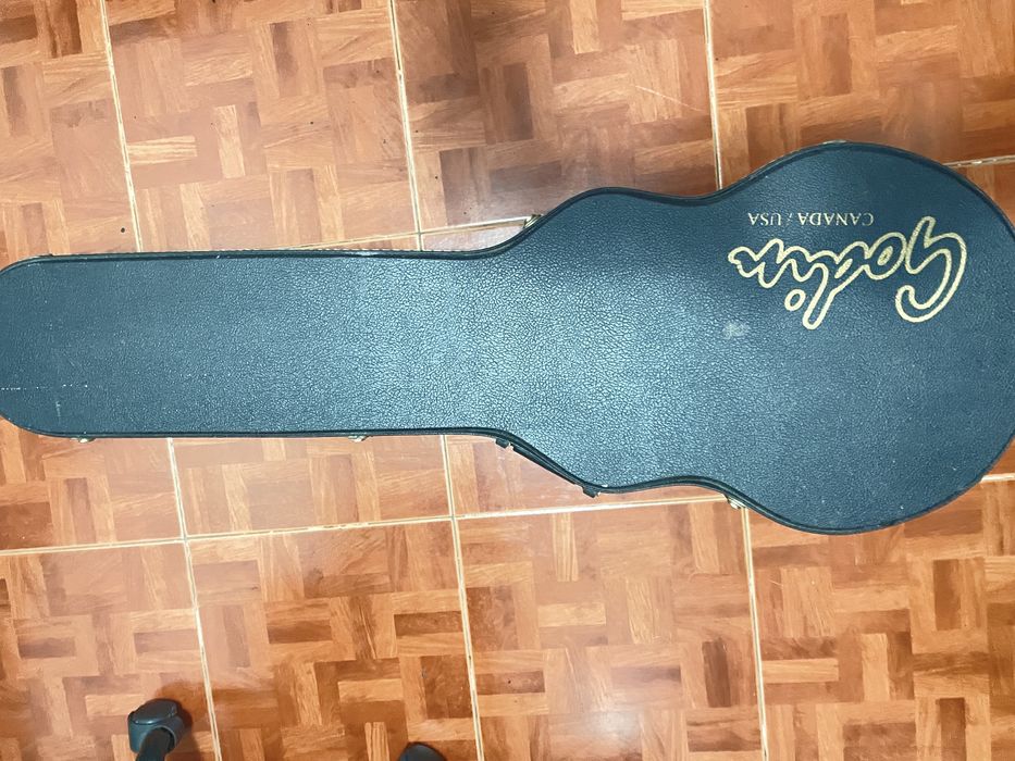 Godin SD24 com hard case original