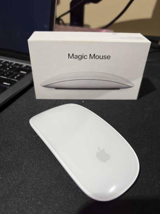 Magic Mouse Apple Rato