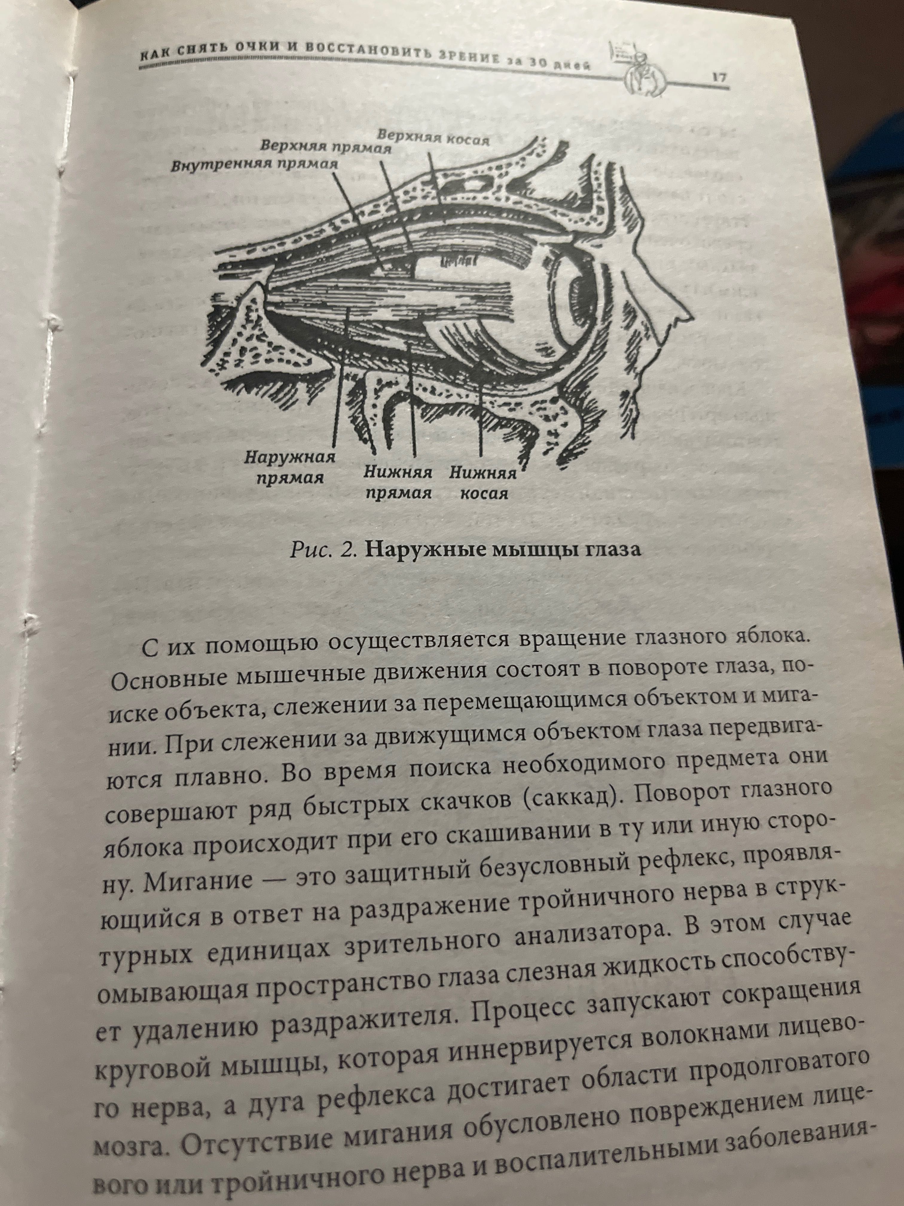 Как сеять очки и восстановить зрение за 30 дней
