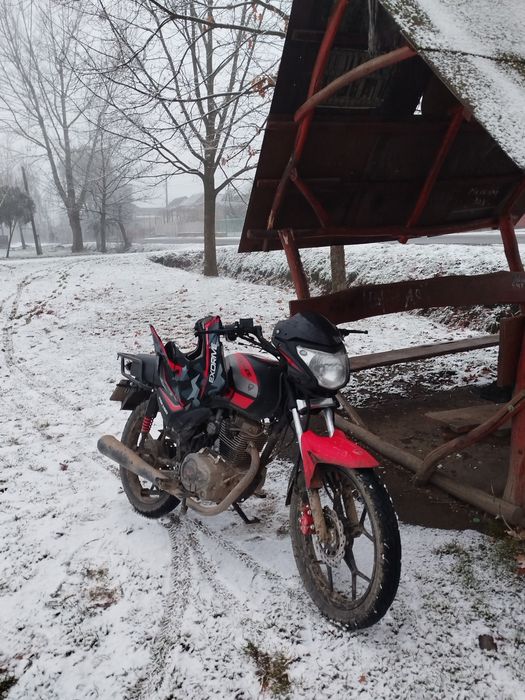 Продам сенке 150