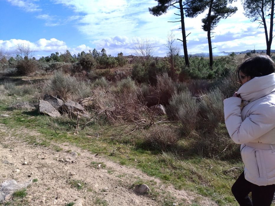 Terreno sito ao Pequito