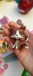 Lps collie unikat