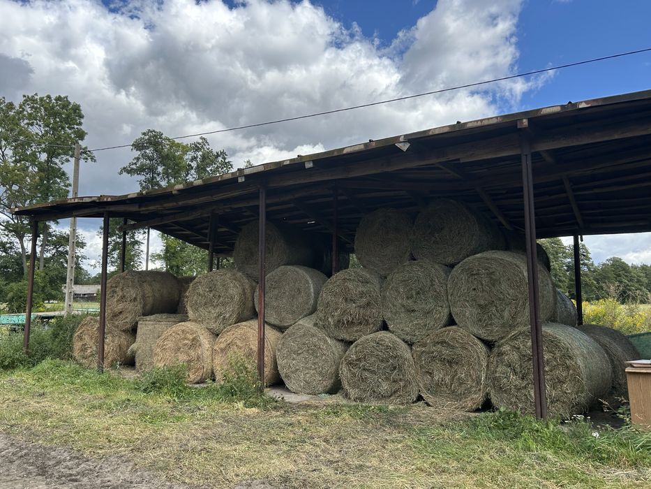 Baloty siana pierwszy i drugi pokos