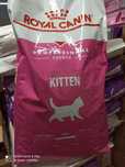 13kg Royal Canin Kitten Gratis Wysyłka