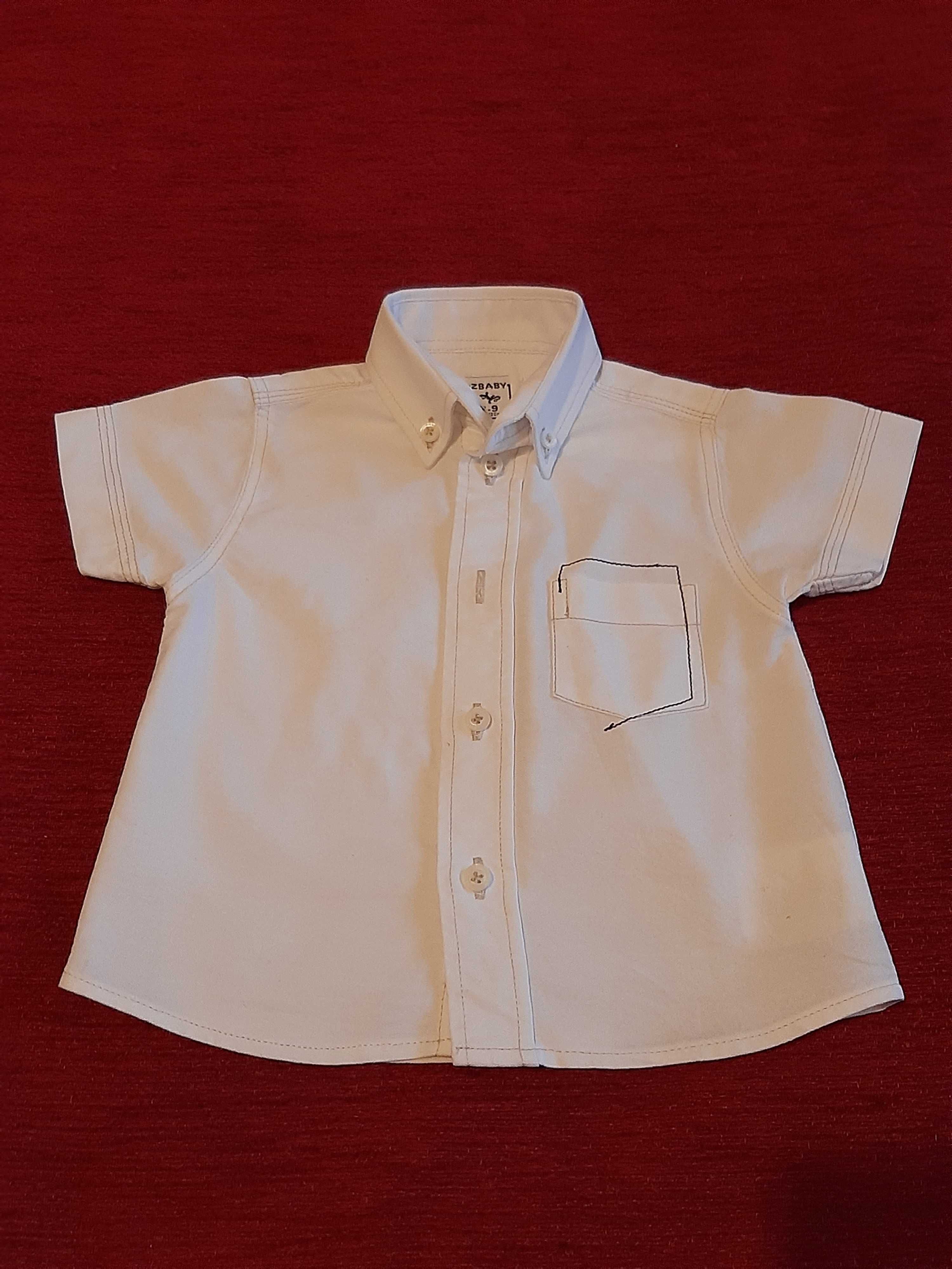 Camisa Branca M.Curta 6-9M (68cm)