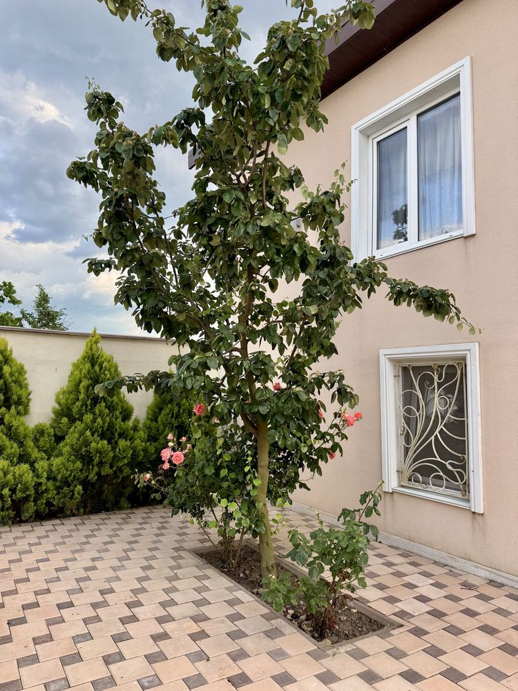 Benelux Family Apartments — Відпочинок біля моря з басейном (Санжейка)
