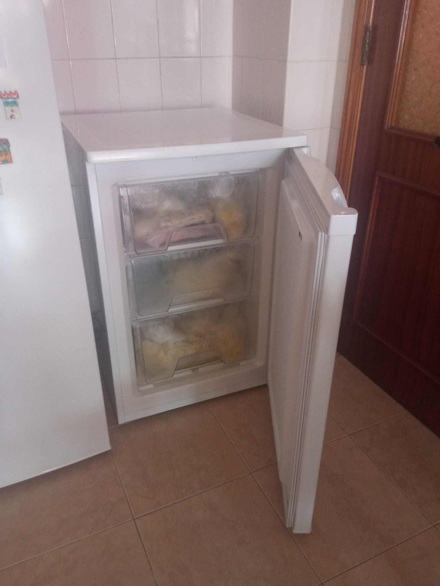 ARCA frigorífica com gavetas
