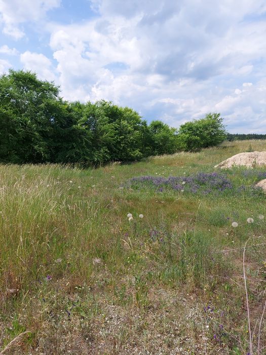 Działka budowlana Niesulice, działka nad jeziorem