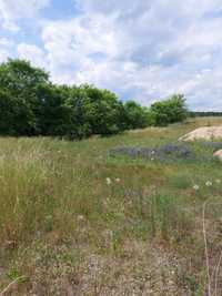 Działka budowlana Niesulice, działka nad jeziorem