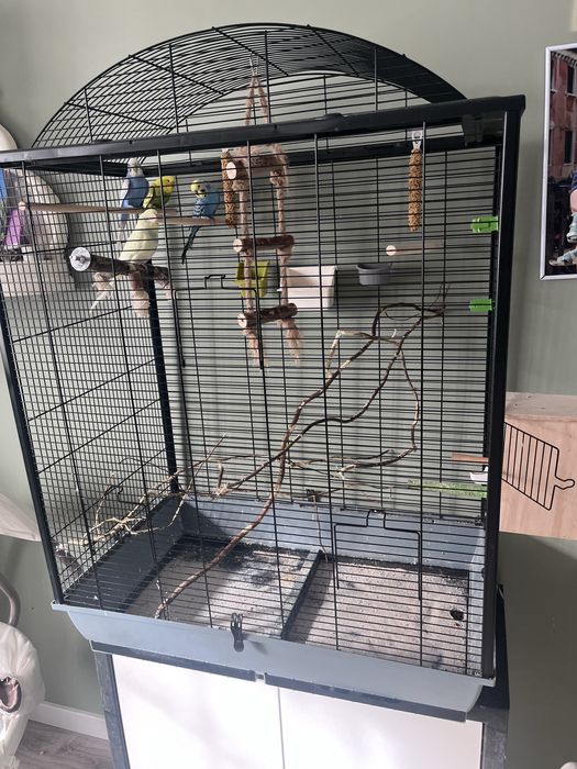 Duża klatka dla ptaków z zawartością