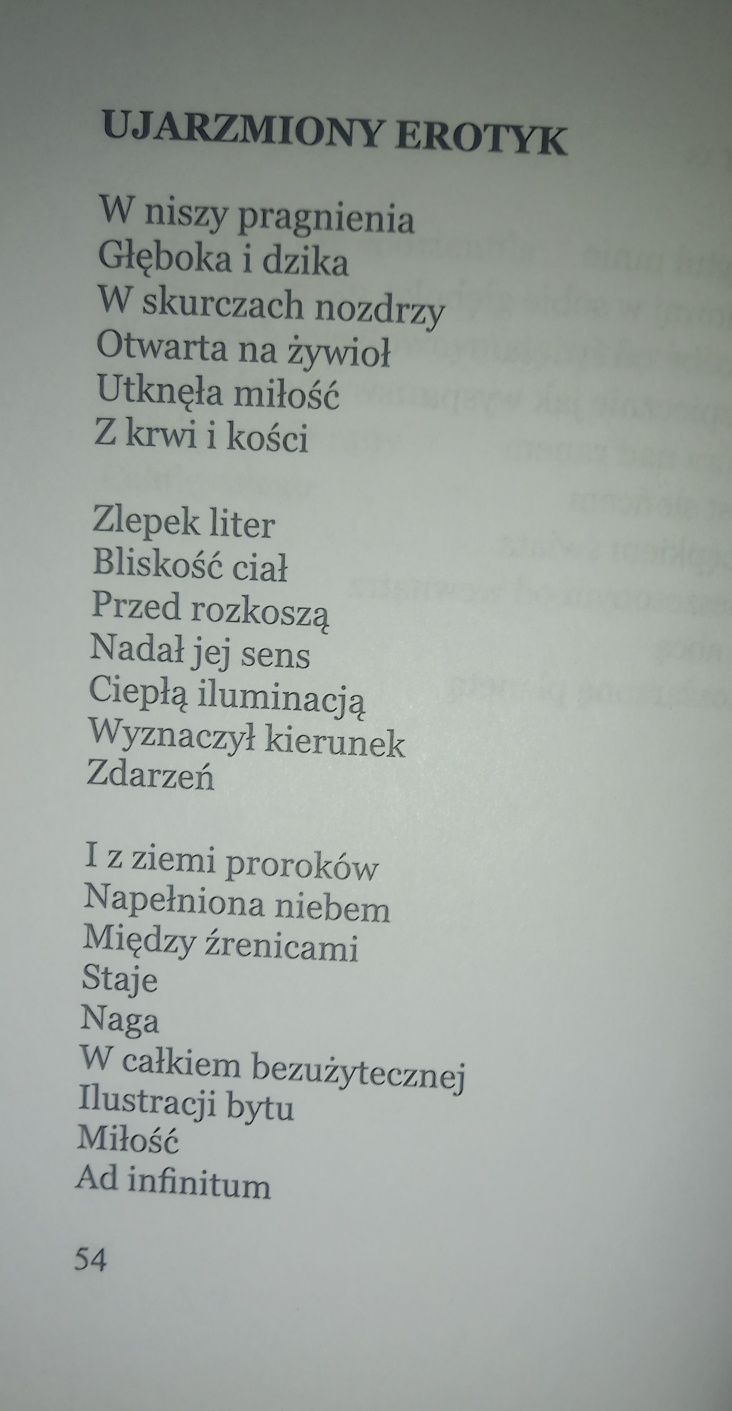 Światło Cień Dorota Wiśniewska-Płoszczyńska Poezja oprawa twarda