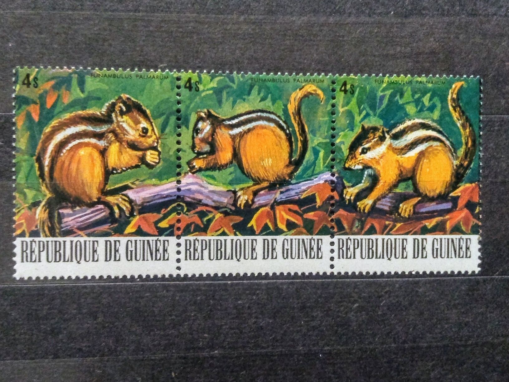 Znaczki Gwinea 1977 fauna wiewiórki