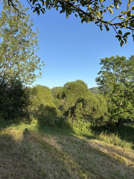 Земля в карпатах