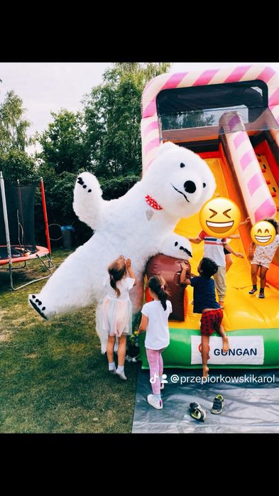 Bialy Miś i Panda wynajem  na urodziny komunie chrzciny zabawy festyn
