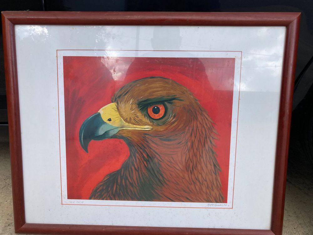 Quadro aguia vermelho