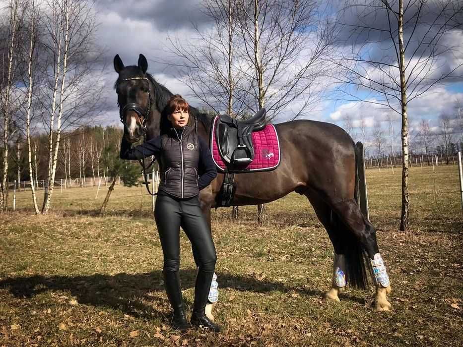 Bezrękawnik, kamizelka jeździecka -ocieplana firmy Phar Lap (l, m, s).