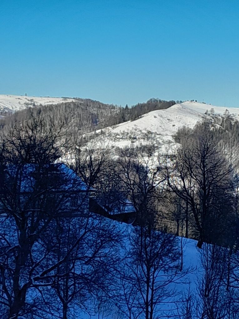 Продається будинок  в Карпатах,із земельним участком