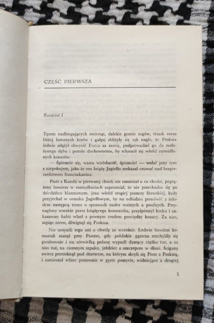 Stefan M. Kuczyński - Litwin i Andegawenka