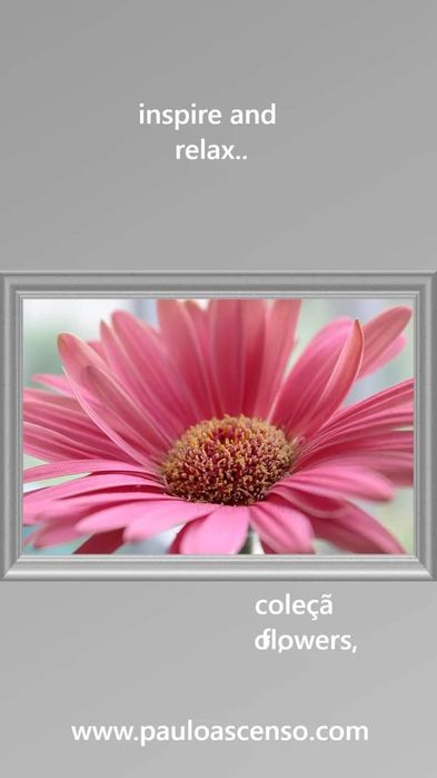 presentes de decoraçao- quadros decoração