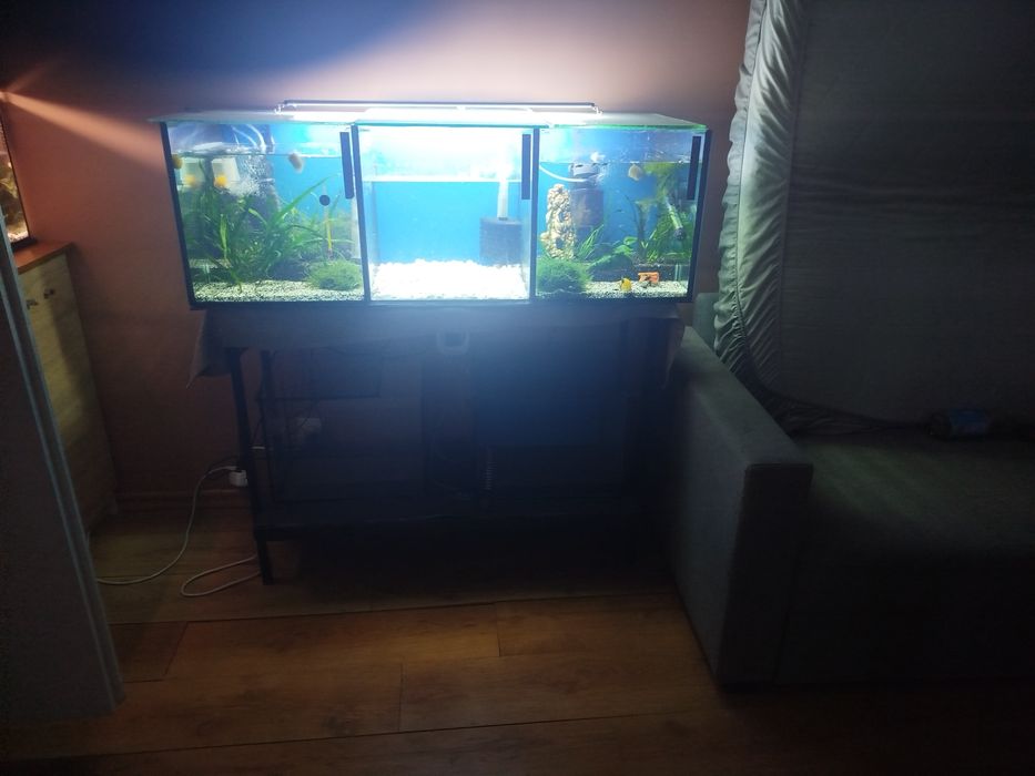 Witam sprzedam akwaria w dobrym stanie