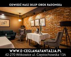Cegła na Ścianę i Elewacje Cięta Dekoracyjna Płytki Ceglane Lico Cegły