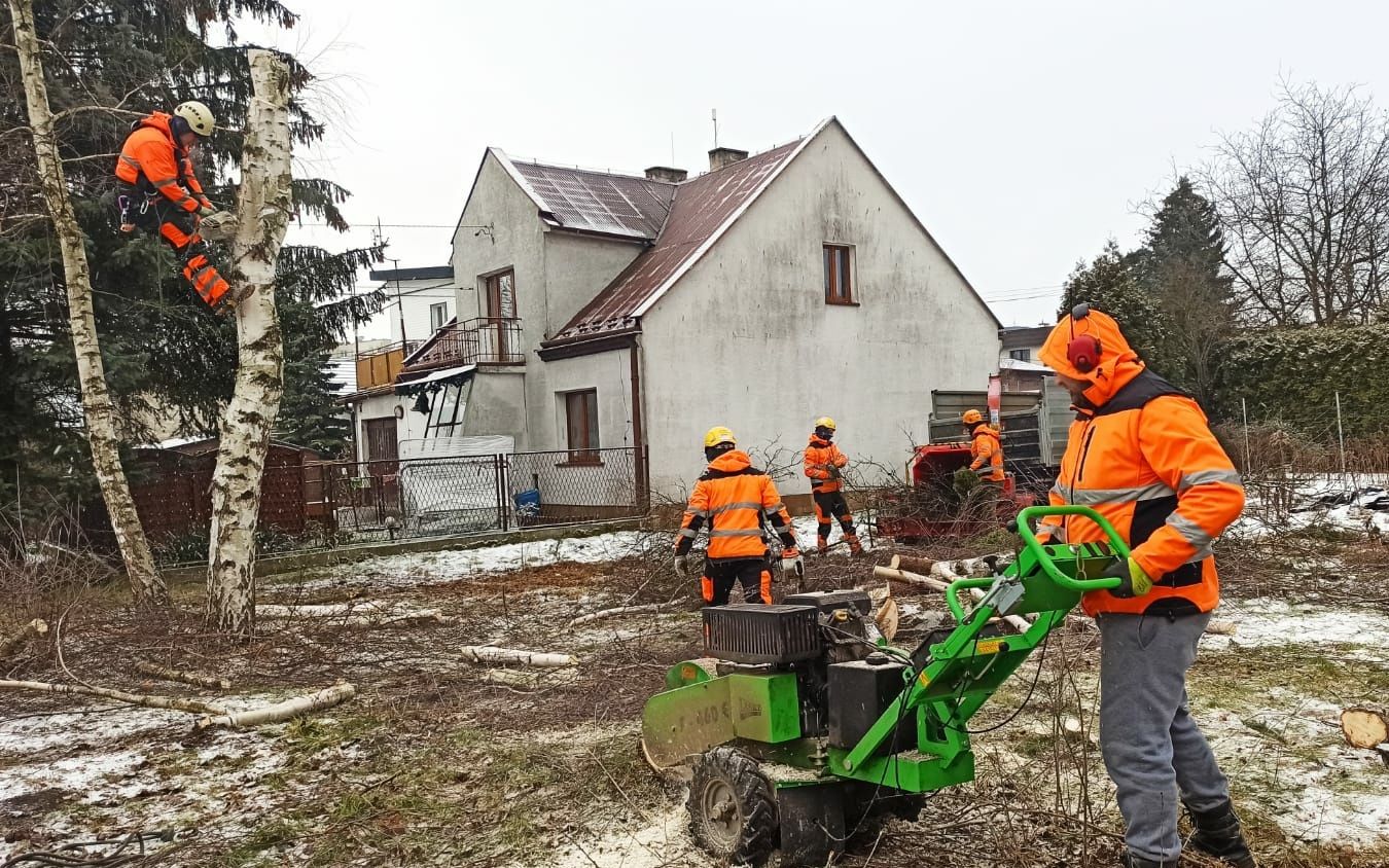 Pielęgnacja Drzew Wycinka , podnośnik 20m,30 m