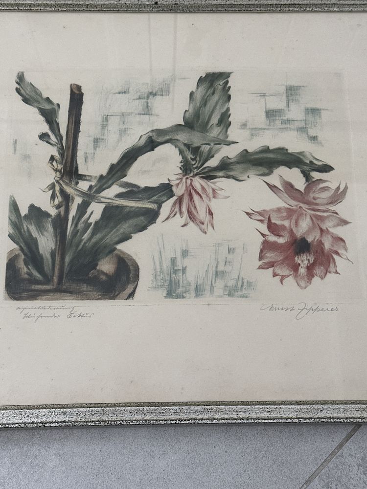 Stara litografia przedwojenna sygnowana kwitnący kwiat w donicy