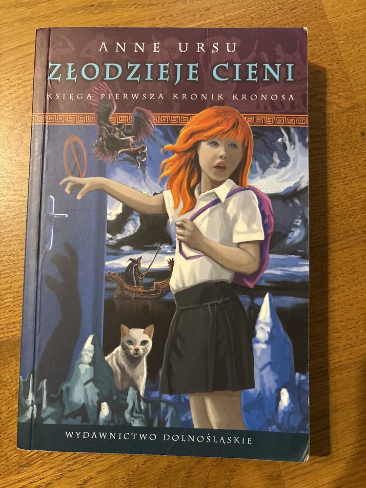 Anne Ursu Złodzieje cieni