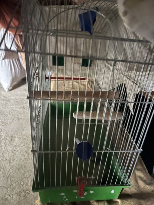 Коітка для папугая