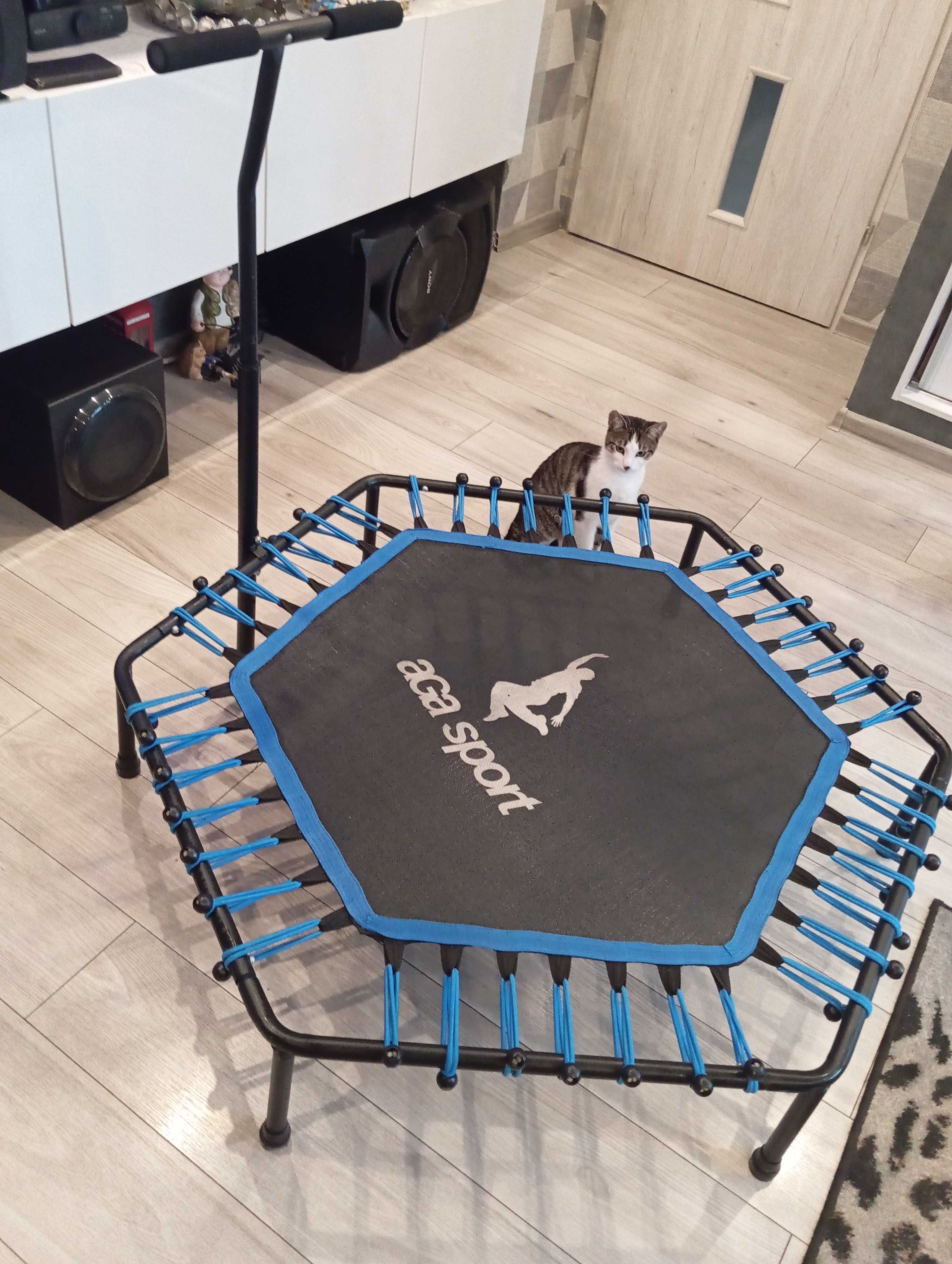 Aga FITNES Trampolina