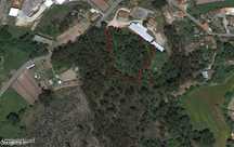Terreno p/ construção - Oliveira de Frades