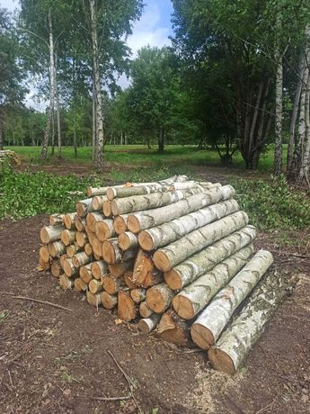 Drewno kominkowe opałowe BRZOZA / CZEREMCHA / OSIKA wałki 1.25 , 2.5 m