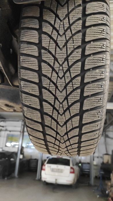 Dunlop SP Winter Sport 4 205 55 16.  1шт